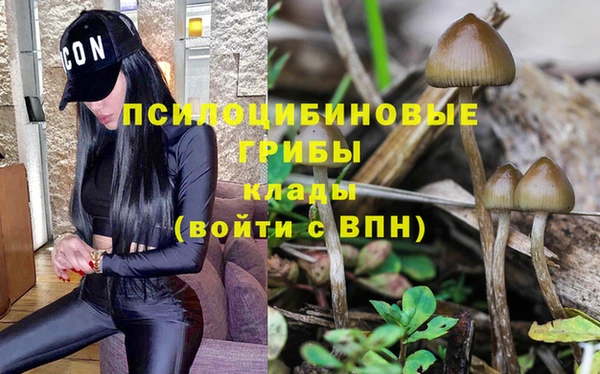 прущий лед Красноперекопск