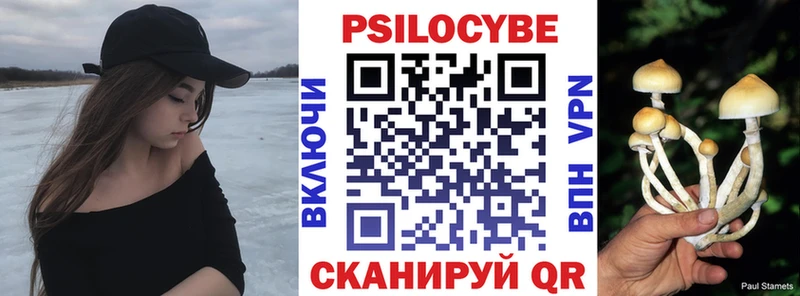 продажа наркотиков  Мыски  МЕГА tor  Псилоцибиновые грибы Cubensis 